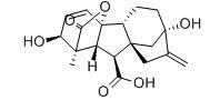 Cas 77 06 5 Gibberellic acid PRO- GIBB GA3 Gibberellin , plant growth regulator agrochemical